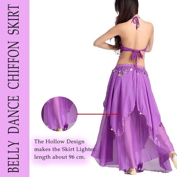 Women Purple Imported Chiffon Belly Dance Costume Indian Dance Skirt with Coins